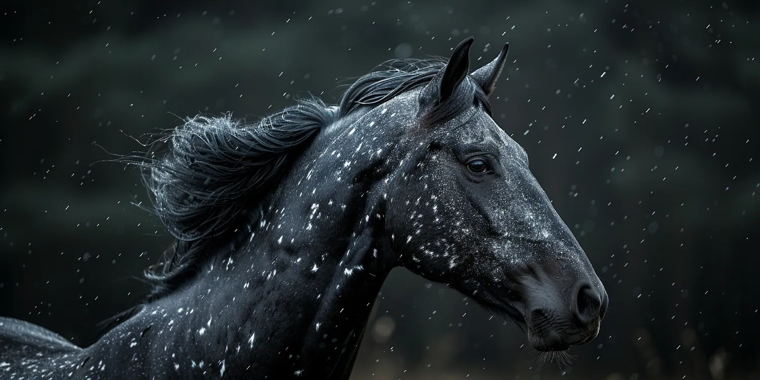 Kremacja psa - jak wygląda i co warto o niej wiedzieć?