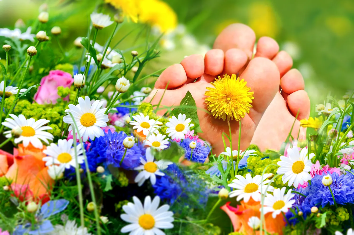 Dobry podolog radzi - wrastanie paznokcia