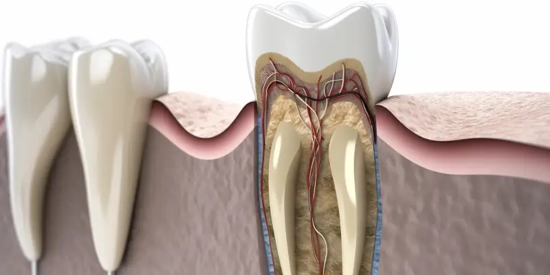 Zabiegi dentystyczne refundowane przez NFZ