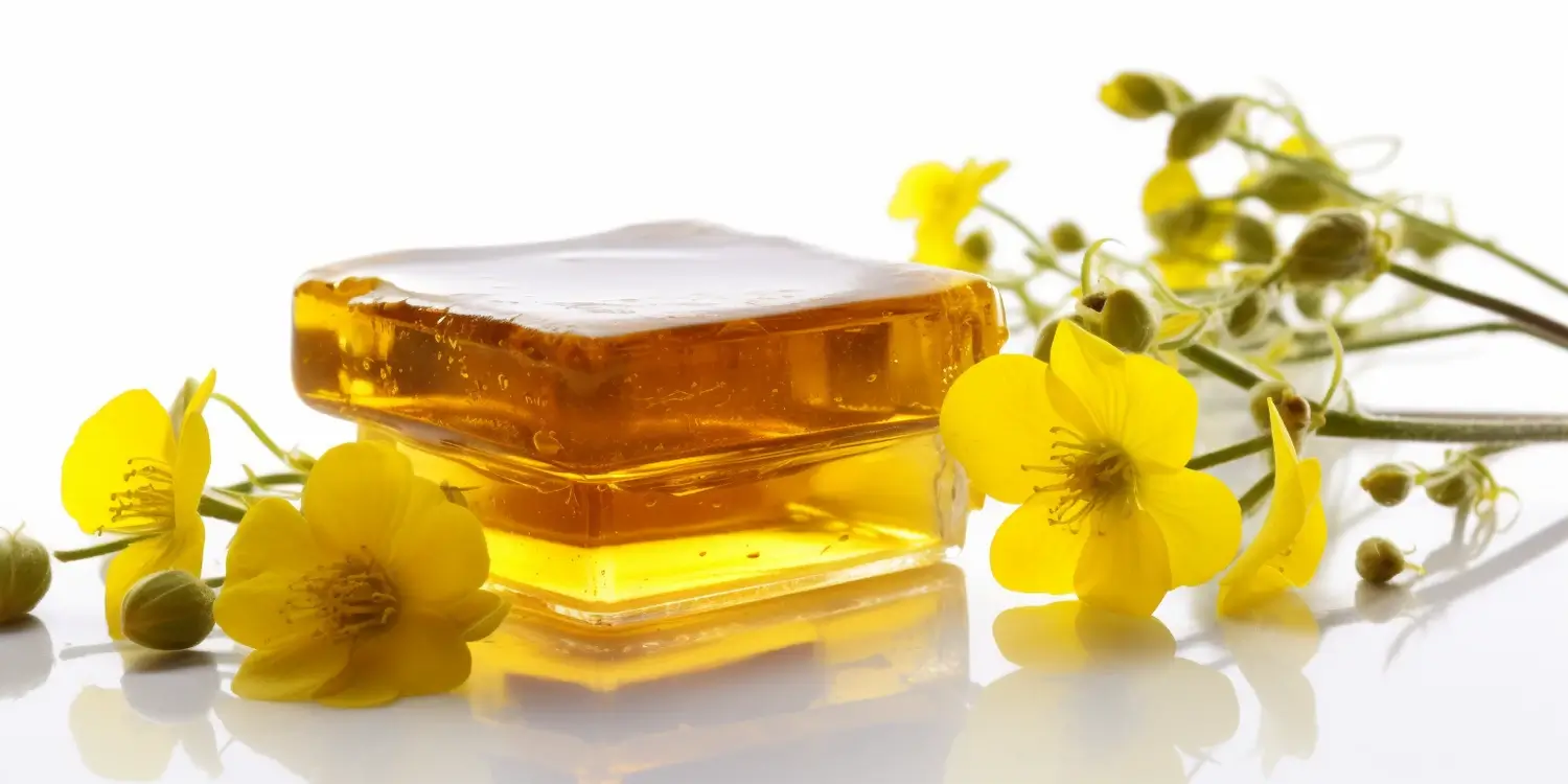 Jak rozpoznać prawdziwy miód rzepakowy?